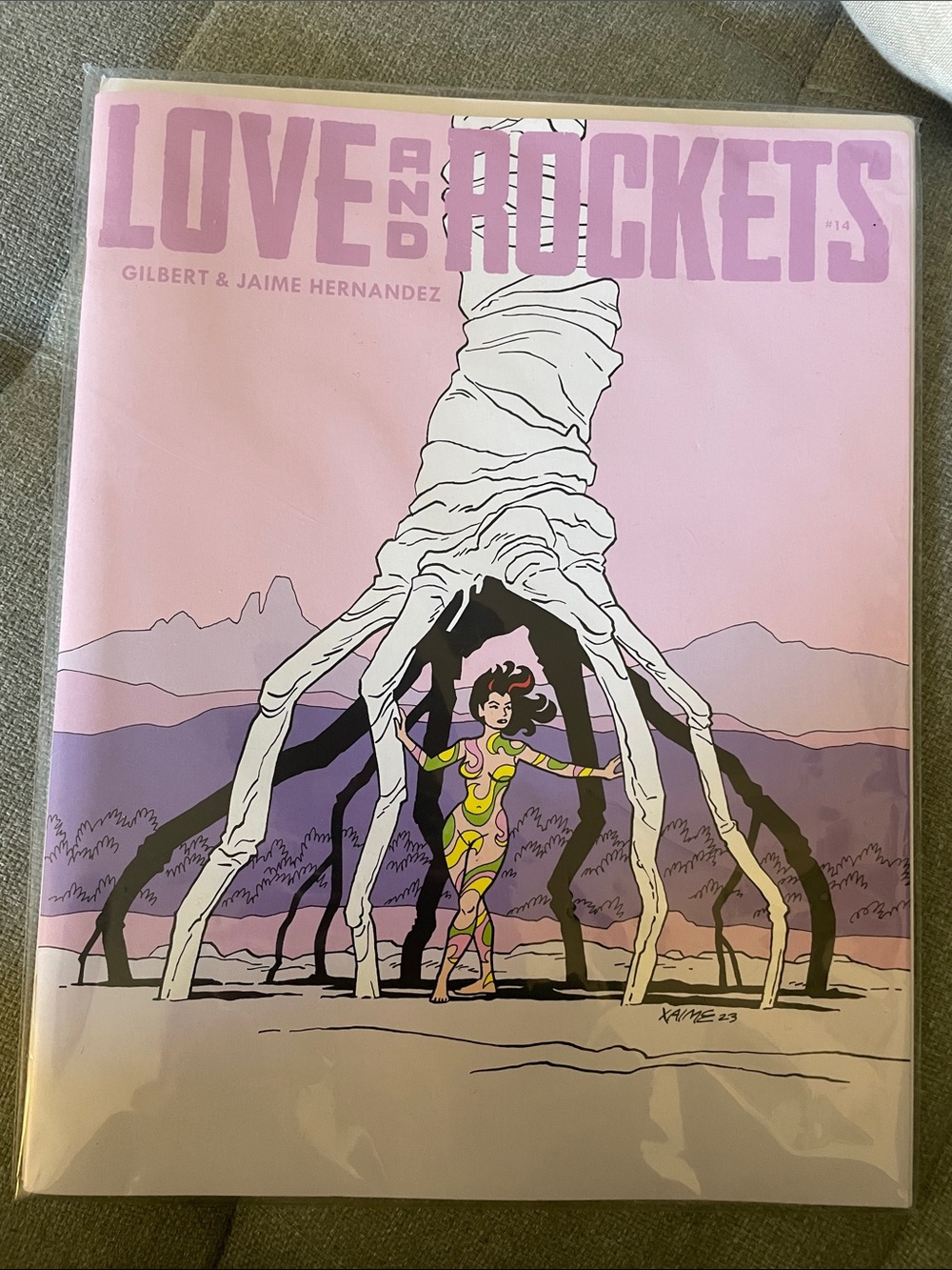 Love and Rockets #14 Comic Book - Pink Cover